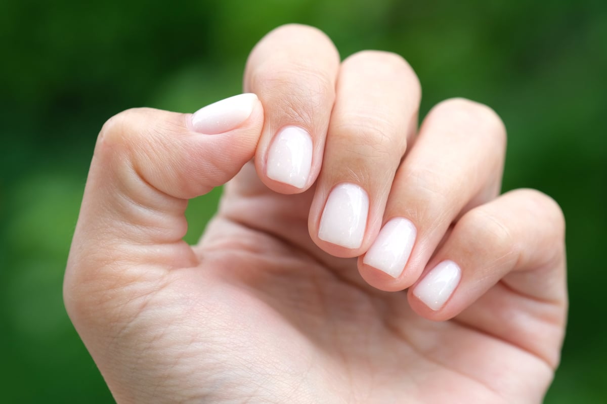 Elegant classic manicure with neutral polished nails
